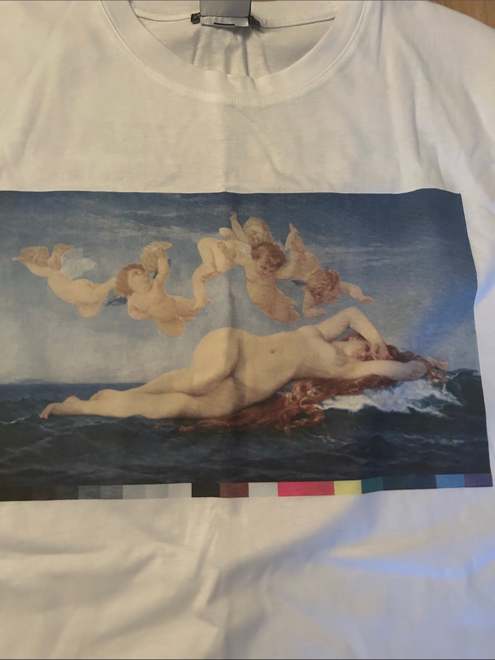 Zara Alexandre Cabanel “Birth of Venus”Graphic Art Print Oversized Tee, M - Picture 8 of 8